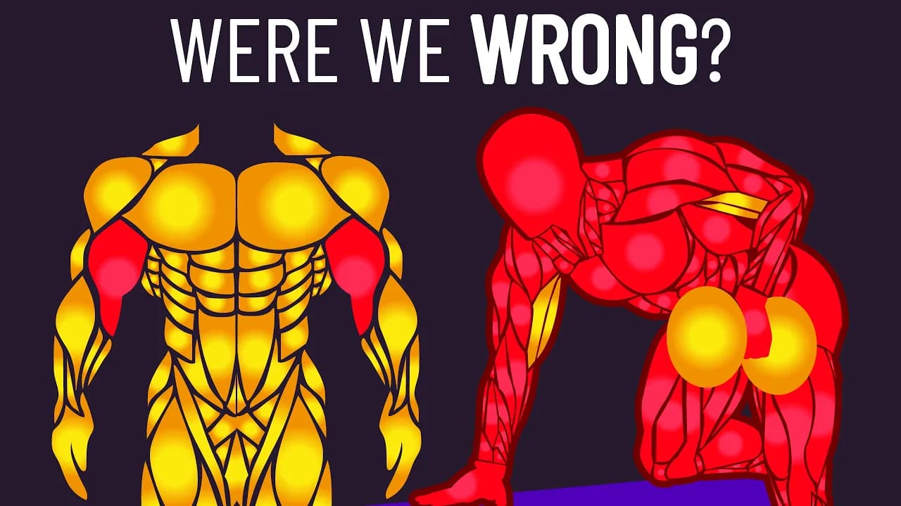 “Compound Exercises Are Enough for the Biceps” (New Study)