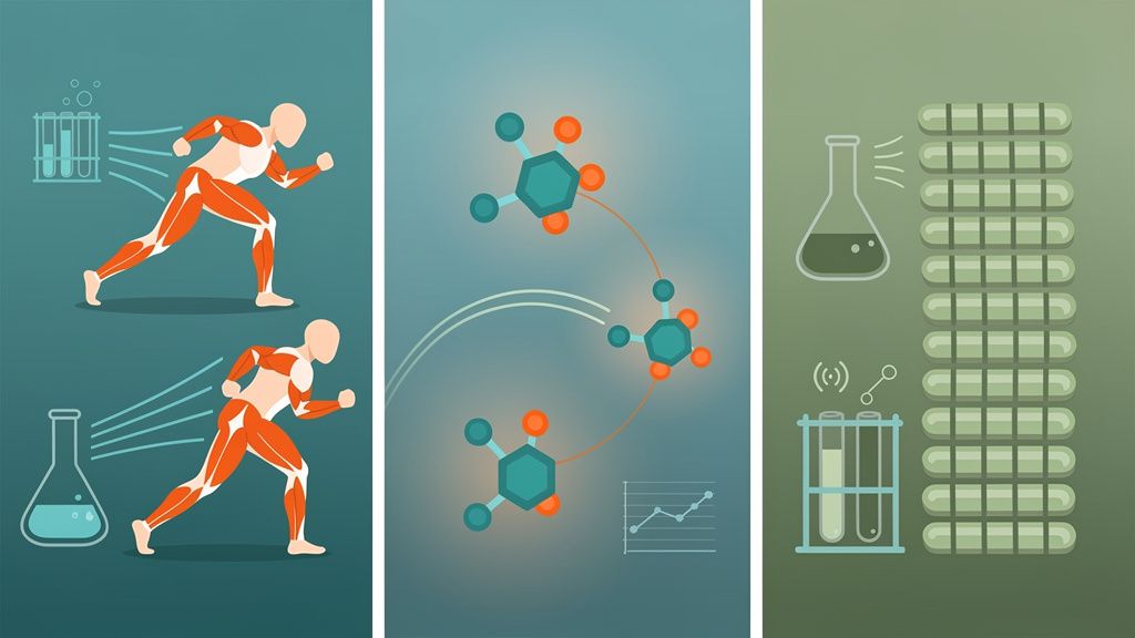 Ketones Boost Muscle Signals—But Not Glycogen: Science Breaks Down the Truth