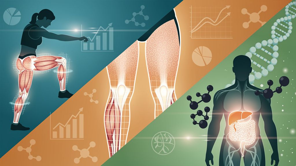 Hamstring Secrets, Cellulite Breakthroughs & Saturated Fat Genes: Your Daily Science Dive